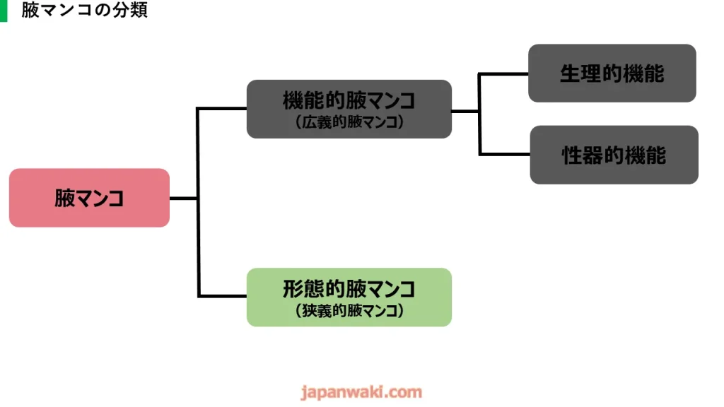 腋マンコとは