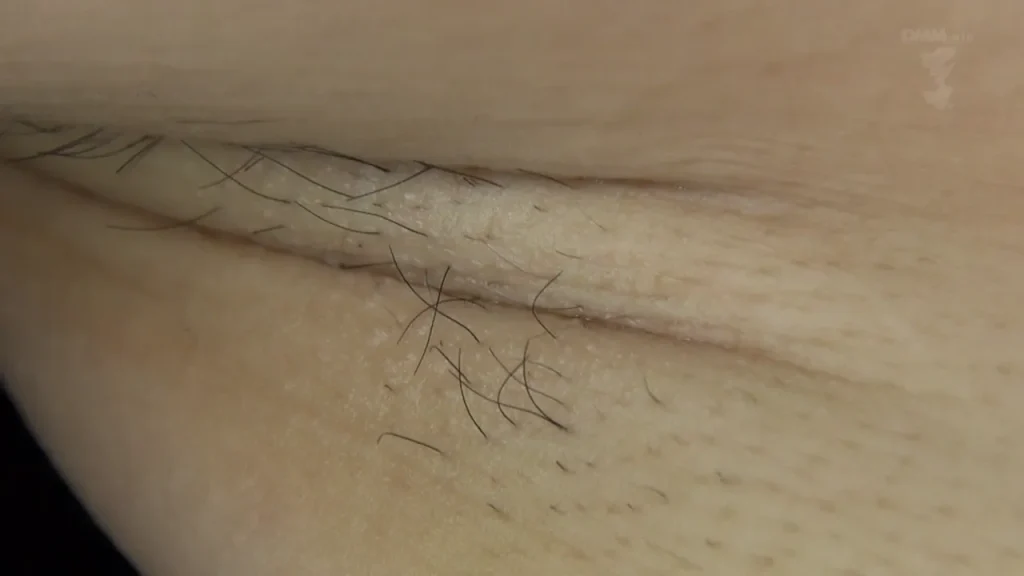 藤波さとり腋マンコ